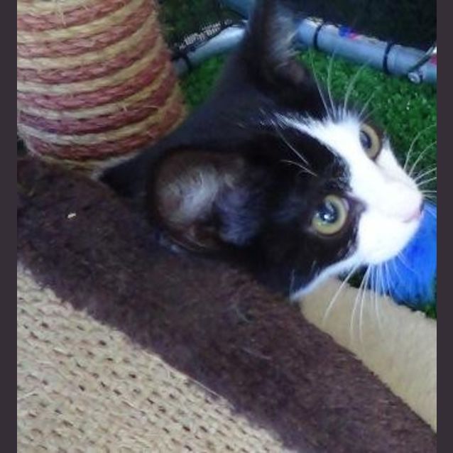 Photo of Angel