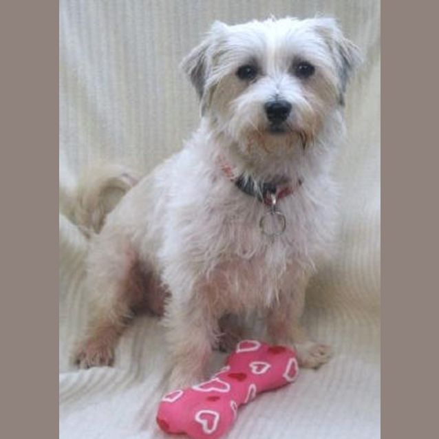 Photo of Pippi