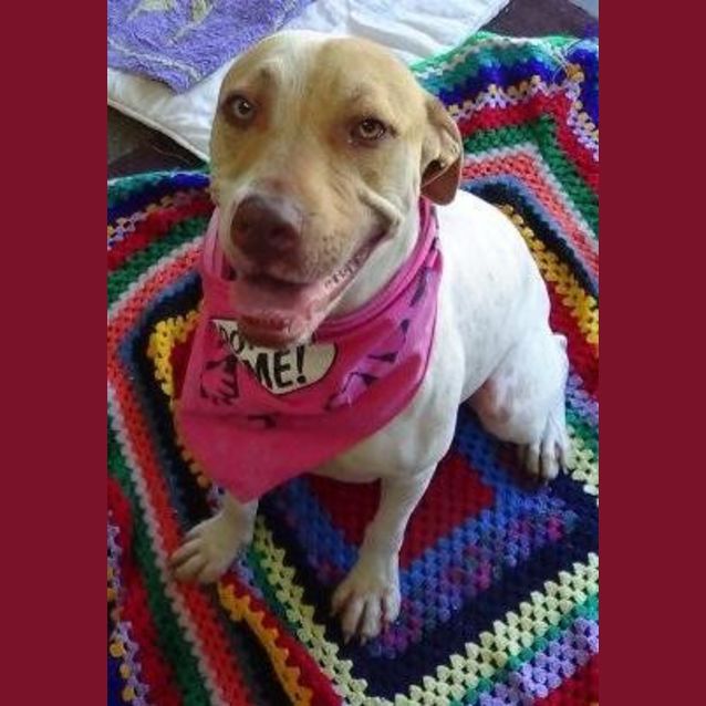 Photo of Bella