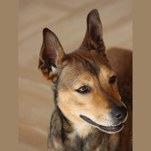 Photo of Maggie