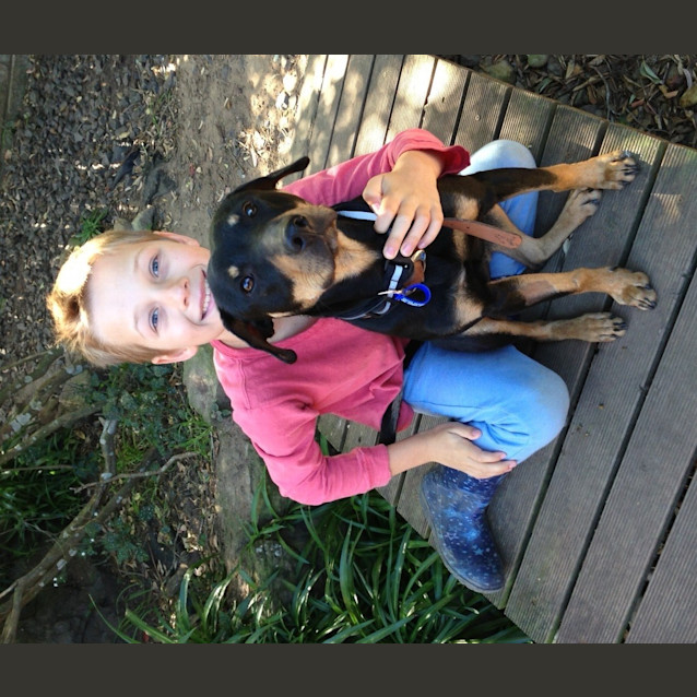 Photo of Loki (Adopted 2/10/13)
