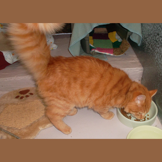 Photo of Murphy