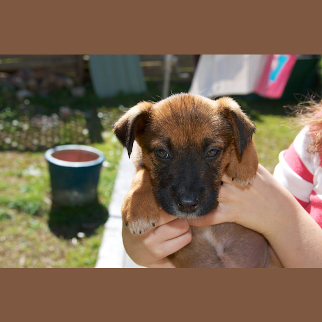 Photo of Lilly