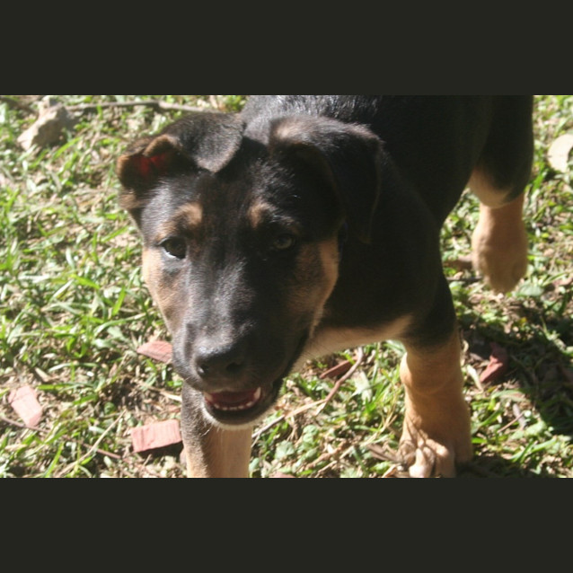 Photo of Thor