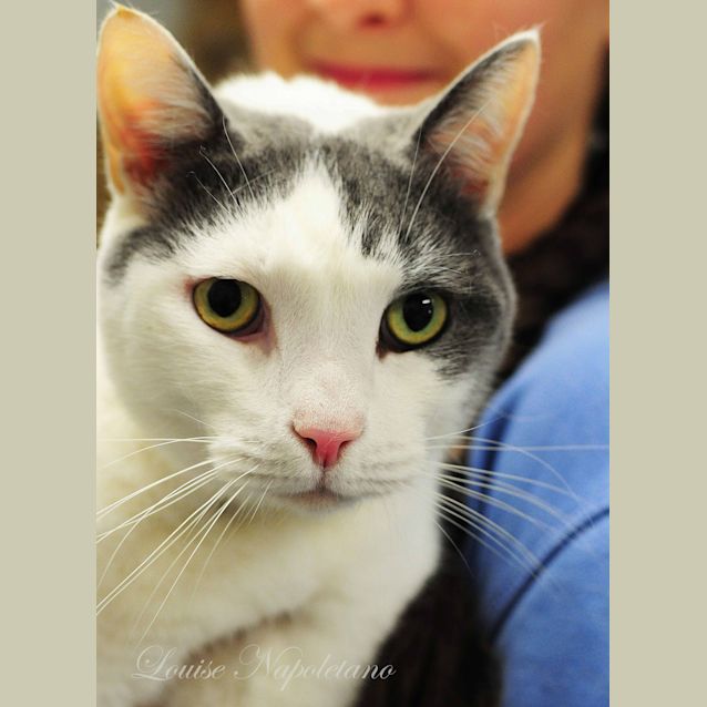 Photo of Jasper