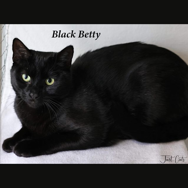 Photo of Black Betty