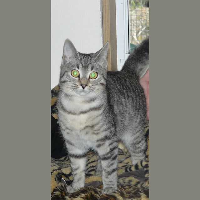 Photo of Skittles