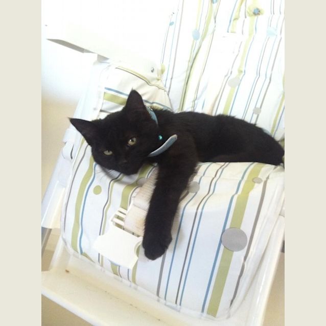 Photo of Zuki