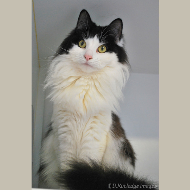 Photo of Mimi