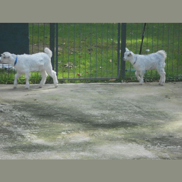 Photo of Harry "Not For Eating" On Hold