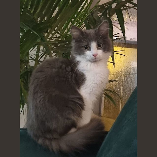 Photo of Ralph