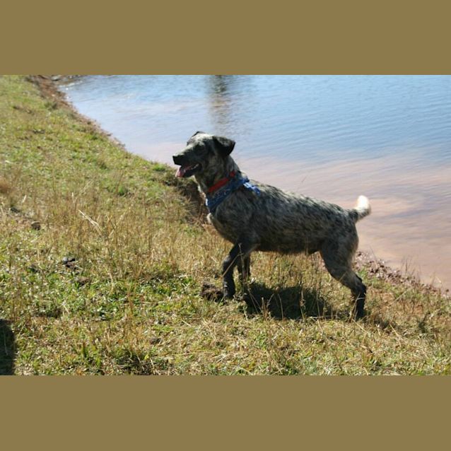 Photo of Lucky