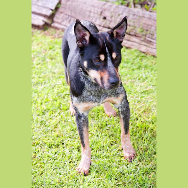 Photo of Tasha Id17086