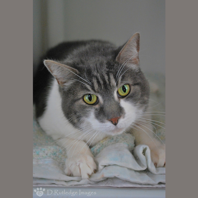 Photo of Holly