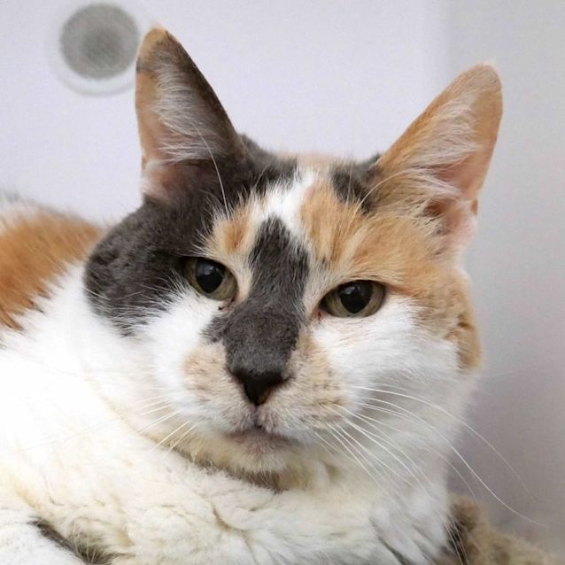 Photo of Circe Sua011433