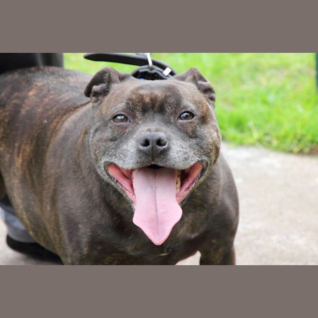 Photo of Xena