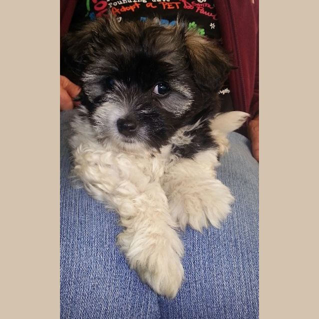 Photo of Charlie