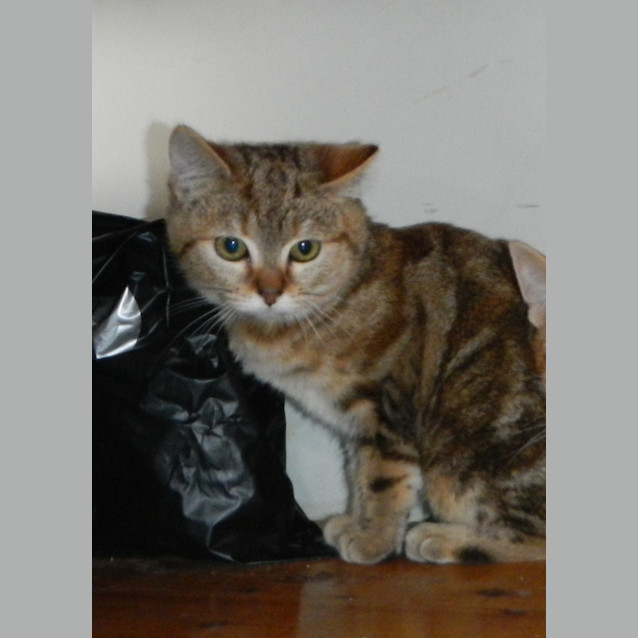 Photo of Darla