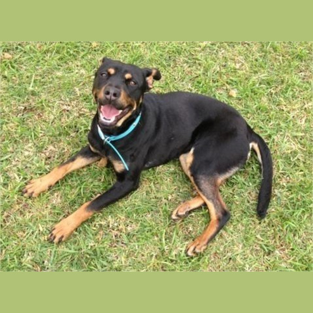 Photo of Roxy   I Have A Video!