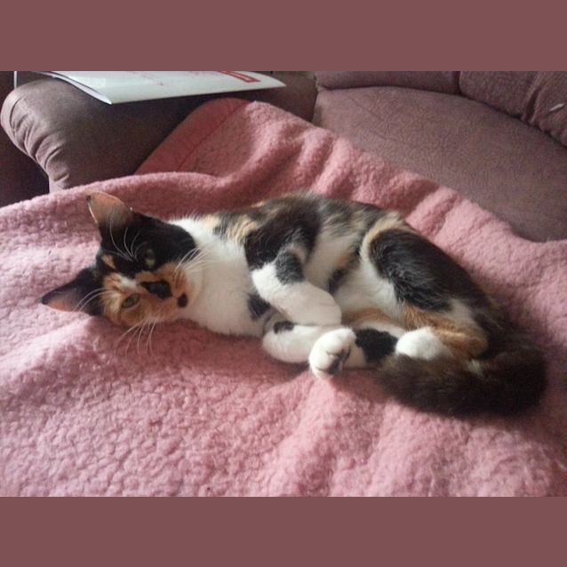 Photo of Holly