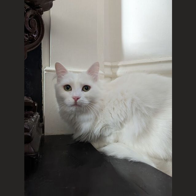 Photo of Solstice