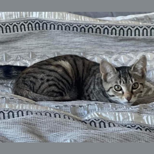 Photo of Leroya