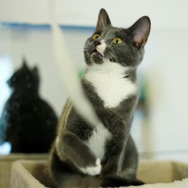 Photo of 8872   Salvador