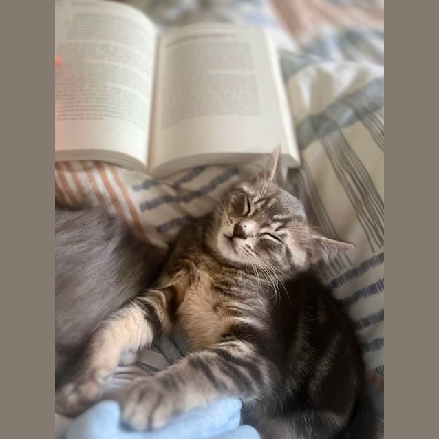 Photo of Poppy & Henry