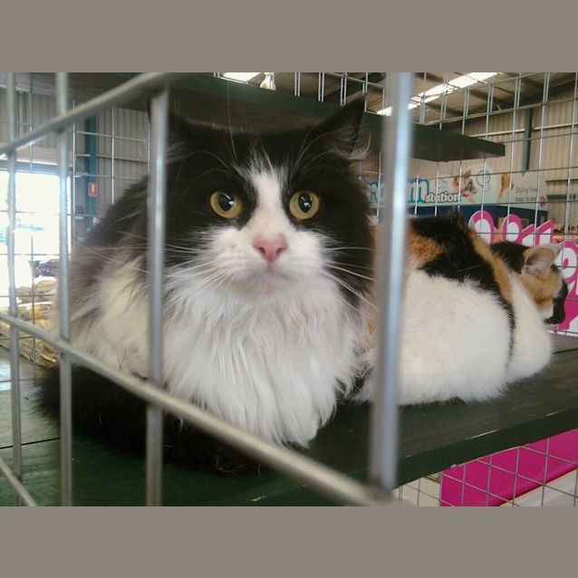 Photo of Geraldine (C472)