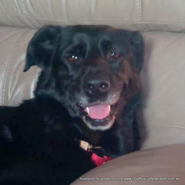 Photo of Jasmine (On Trial 17/10/13)