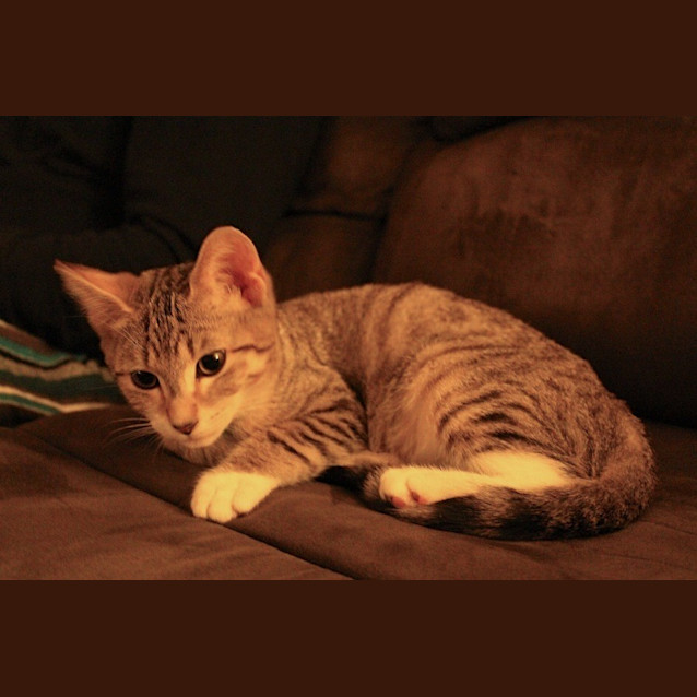 Photo of Thomas