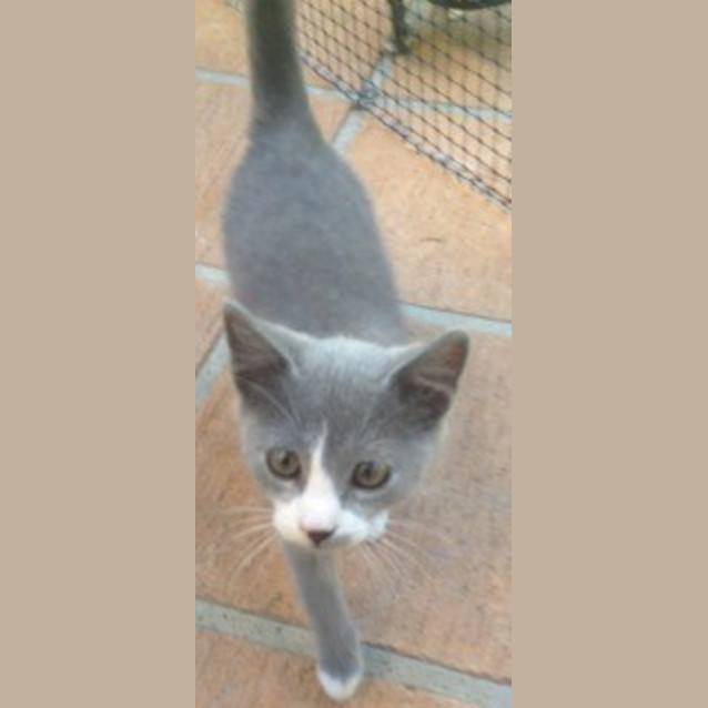 Photo of Mylee
