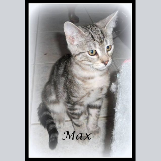 Photo of Max