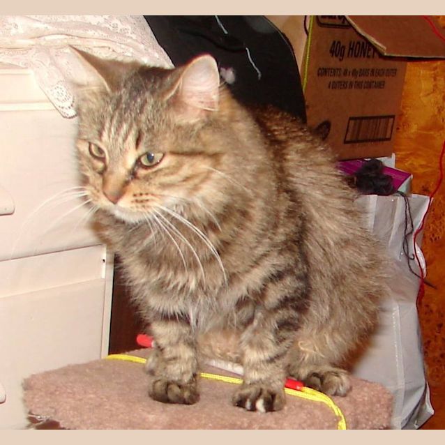 Photo of Ella Bella Bing Bong