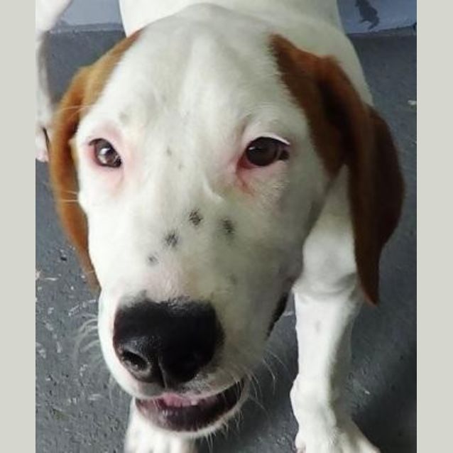 Photo of Bingo