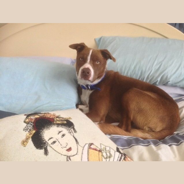 Photo of Lenny