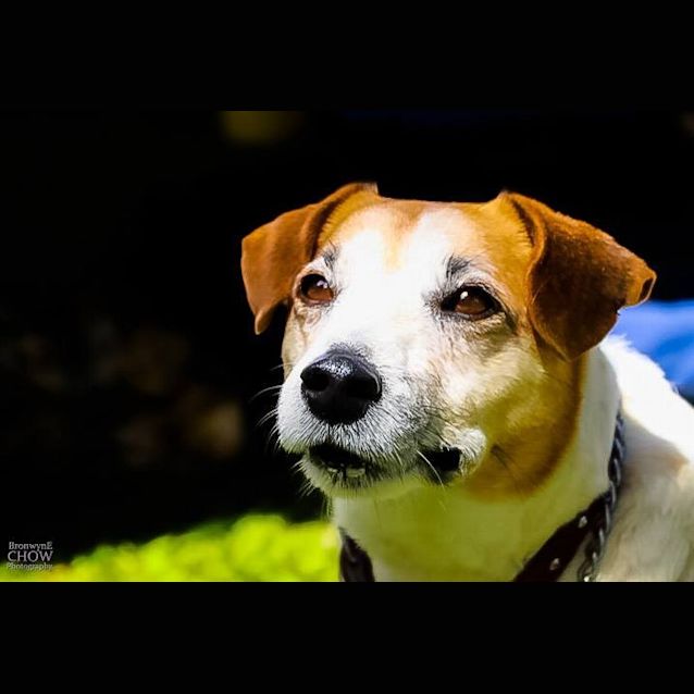 Photo of Spencer