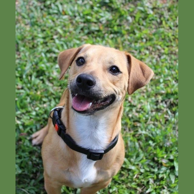 Photo of Django