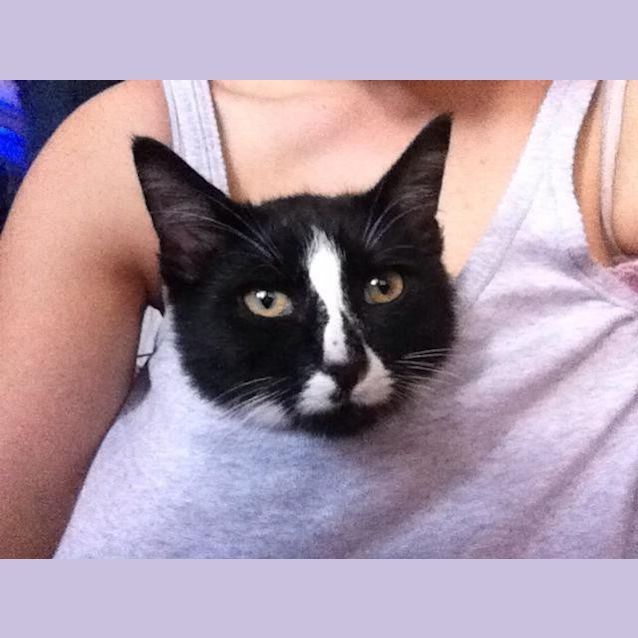 Photo of Max