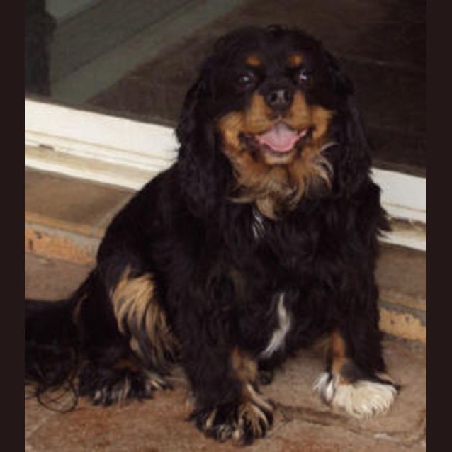 Photo of Miss Daisy