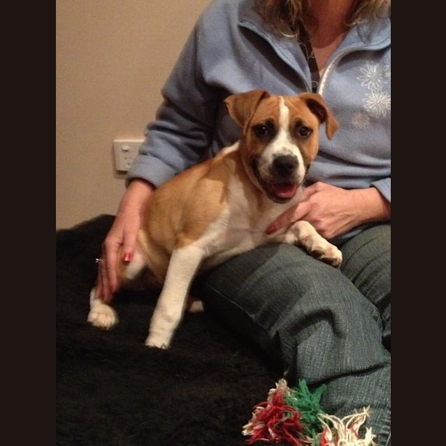 Photo of Ralph