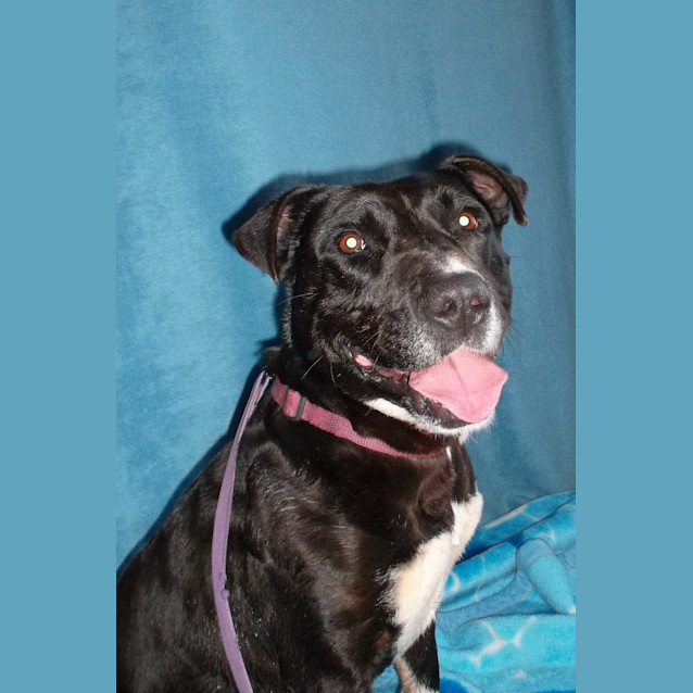 Photo of Buster
