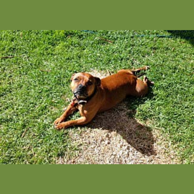 Photo of Shylah