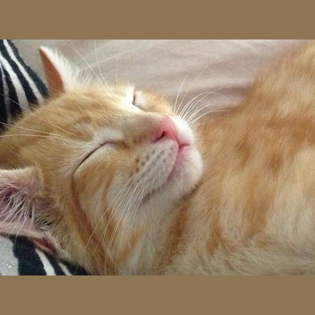 Photo of Parker