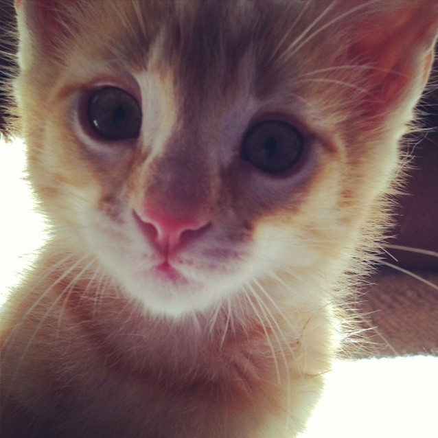 Photo of Candy