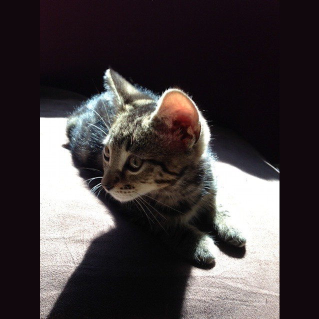 Photo of Satchmo