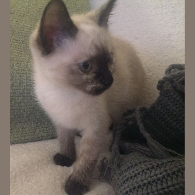 Photo of Crystal