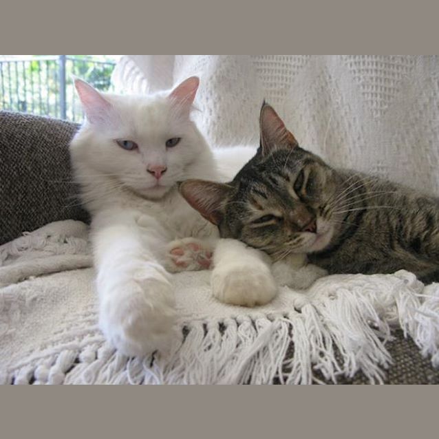 Photo of Cody & Wendy