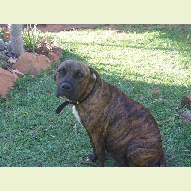 Photo of Lola