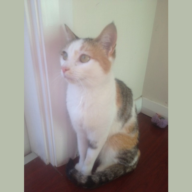 Photo of Lila